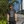 Man wearing a black t-shirt with text 